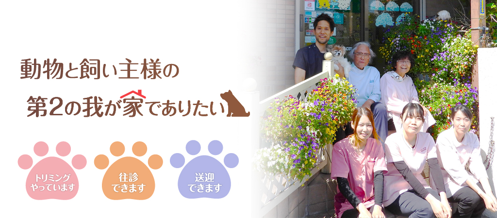 うぐいすの森動物病院